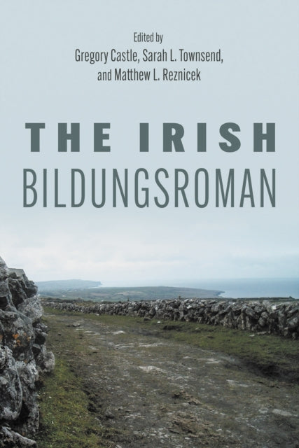 The Irish Bildungsroman cover