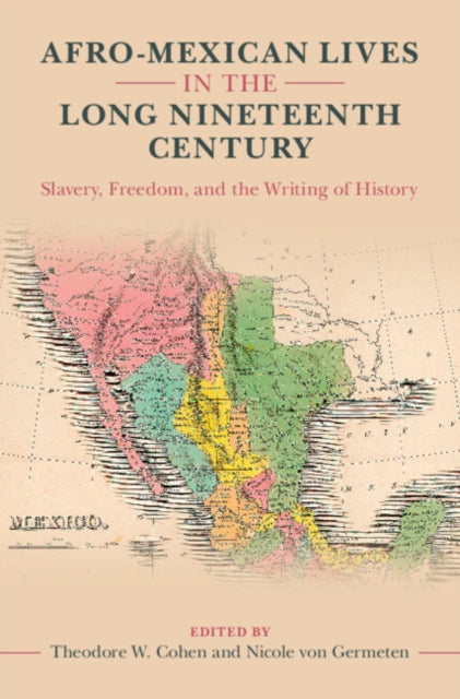 Afro-Mexican Lives in the Long Nineteenth Century cover
