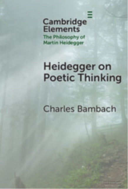 Heidegger on Poetic Thinking cover