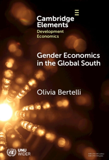Gender Economics in the Global South cover