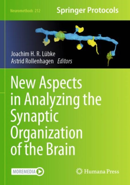 New Aspects in Analyzing the Synaptic Organization of the Brain cover