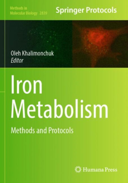 Iron Metabolism cover