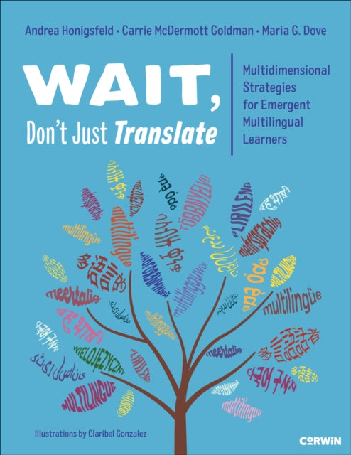 Wait, Don’t Just Translate cover