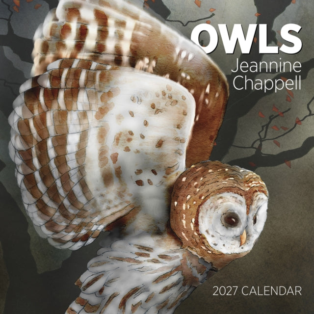 Owls: Jeannine Chappell 2027 Wall Calendar cover