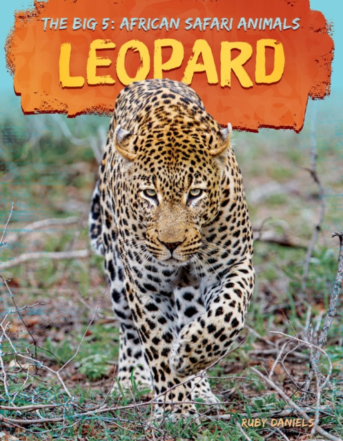 Leopard cover