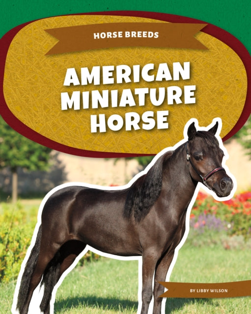 American Miniature Horse cover