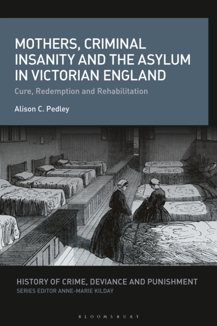 Mothers, Criminal Insanity and the Asylum in Victorian England cover
