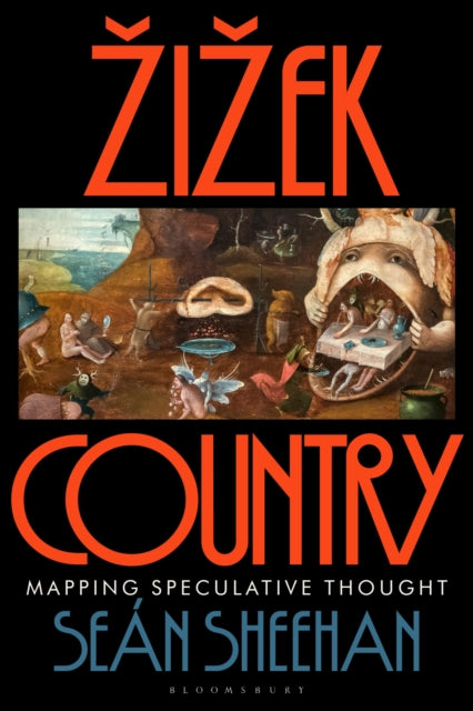 Zizek Country cover
