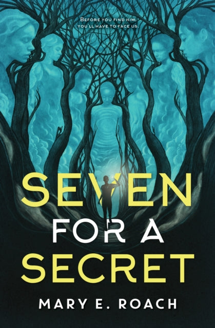 Seven for a Secret cover