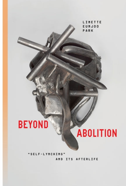 Beyond Abolition cover
