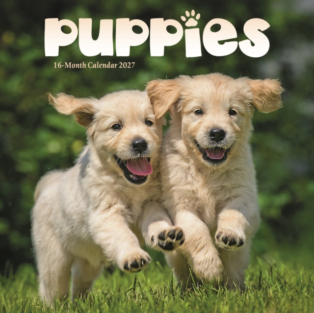Puppies Mini cover