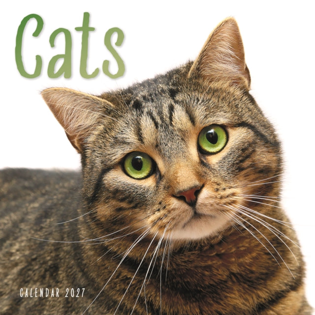 Cats W / CAROUS cover