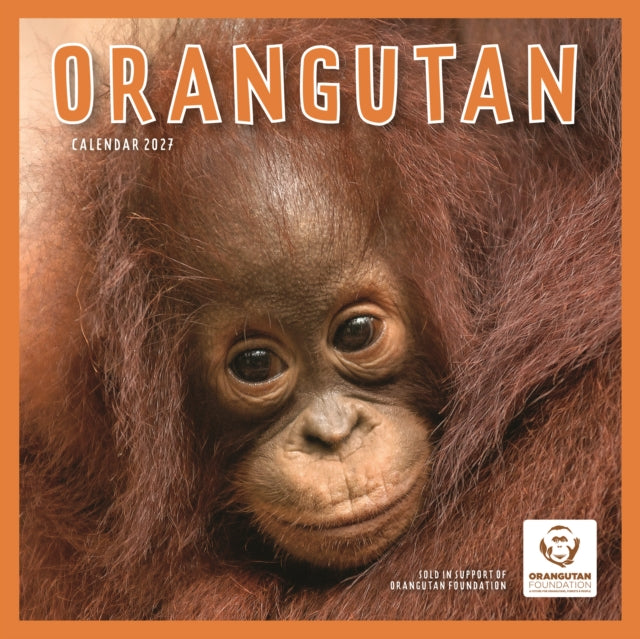 Orangutan (PFP) W cover