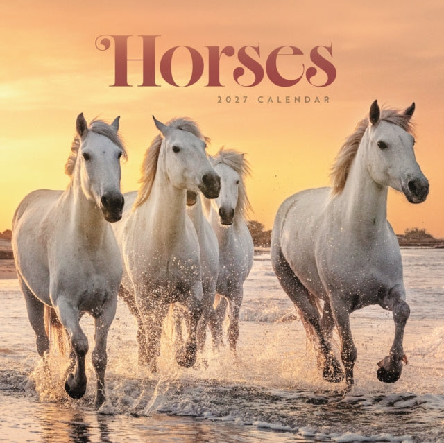 Horses Wiro Wall cover