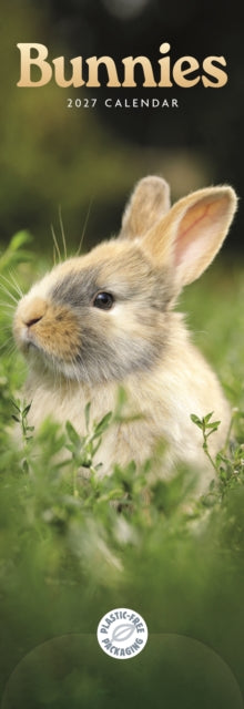 Bunnies (PFP) Slim cover