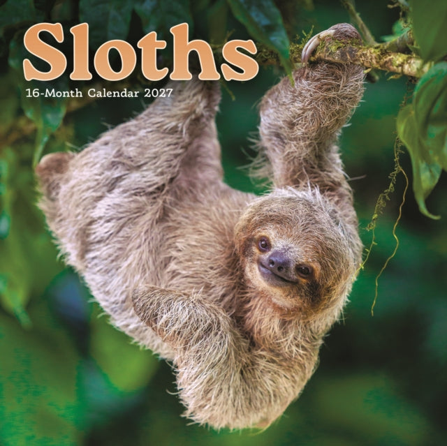 Sloths M (Sunday Start) cover