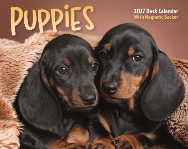 Puppies Mini Box cover