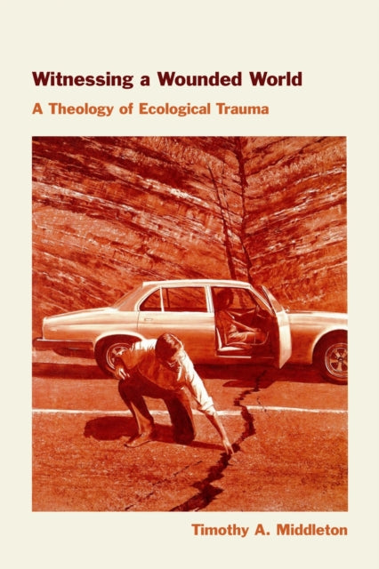 Witnessing a Wounded World cover