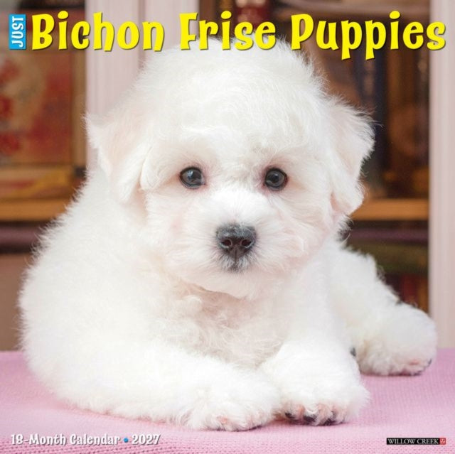 Bichon Frise Puppies 2027 Wall cover