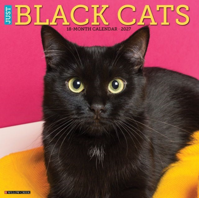 Black Cats 2027 Wall cover