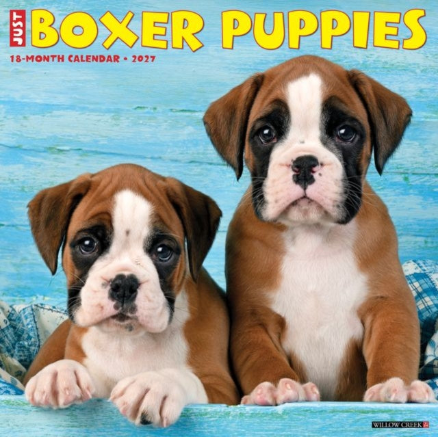 Boxer Puppies 2027 Wall cover