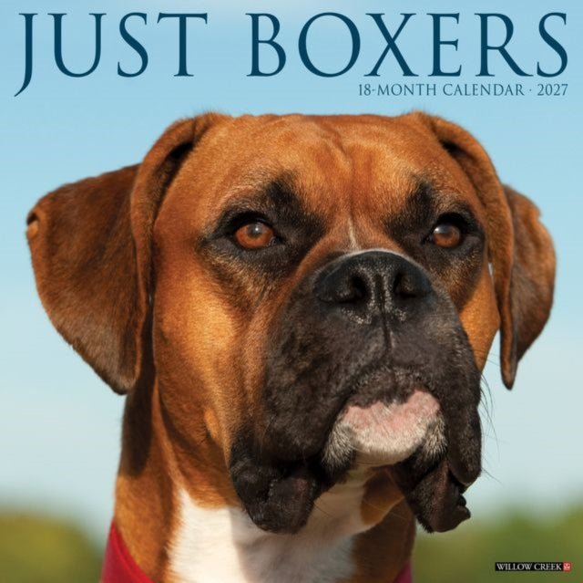 Boxers 2027 Wall cover