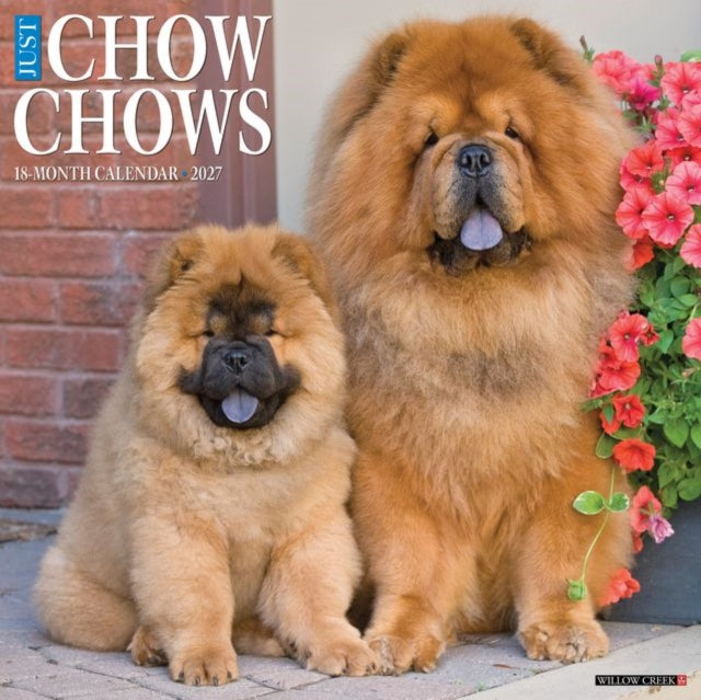 Chow Chows 2027 Wall cover