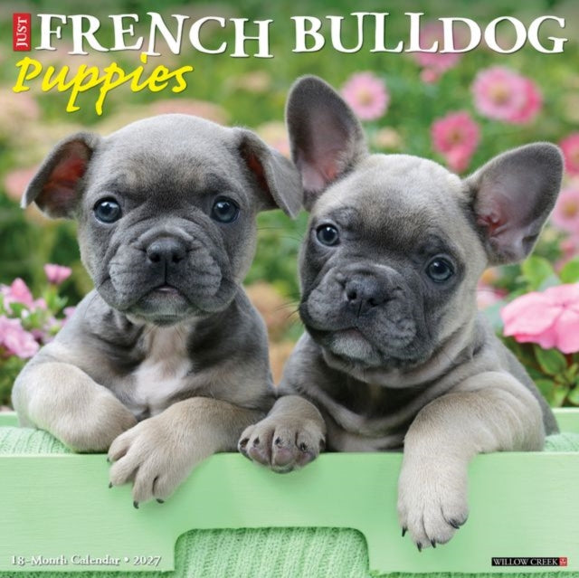 French Bulldog Puppies 2027 Wall cover