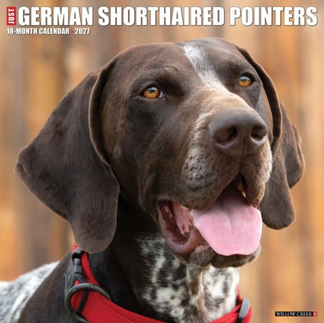 German Shorthaired Pointers 2027 Wall cover