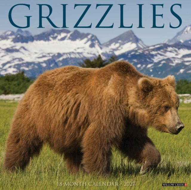 Grizzlies 2027 Wall cover