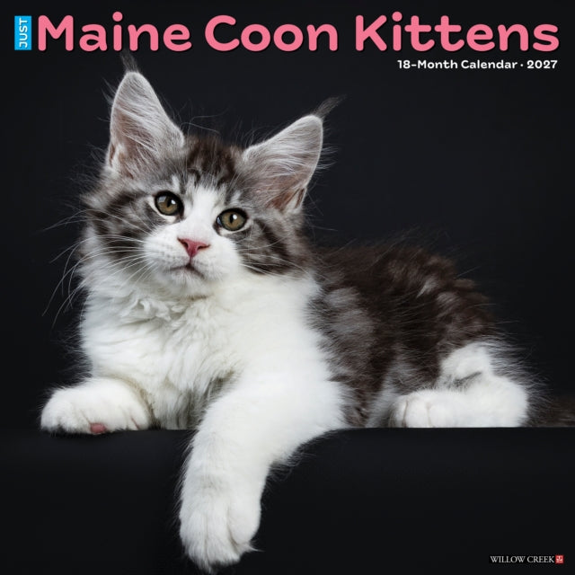Maine Coon Kittens 2027 Wall cover