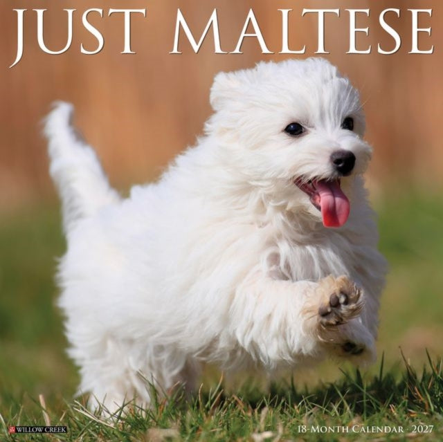 Maltese 2027 Wall cover