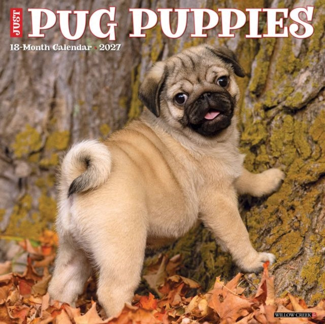 Pug Puppies 2027 Wall cover