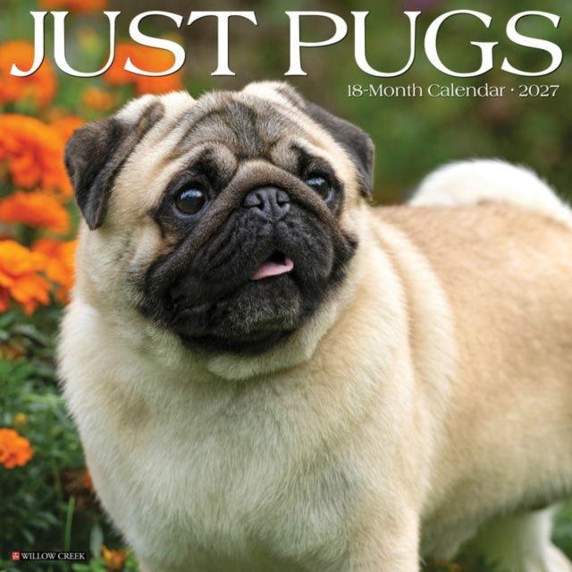 Pugs 2027 Wall cover