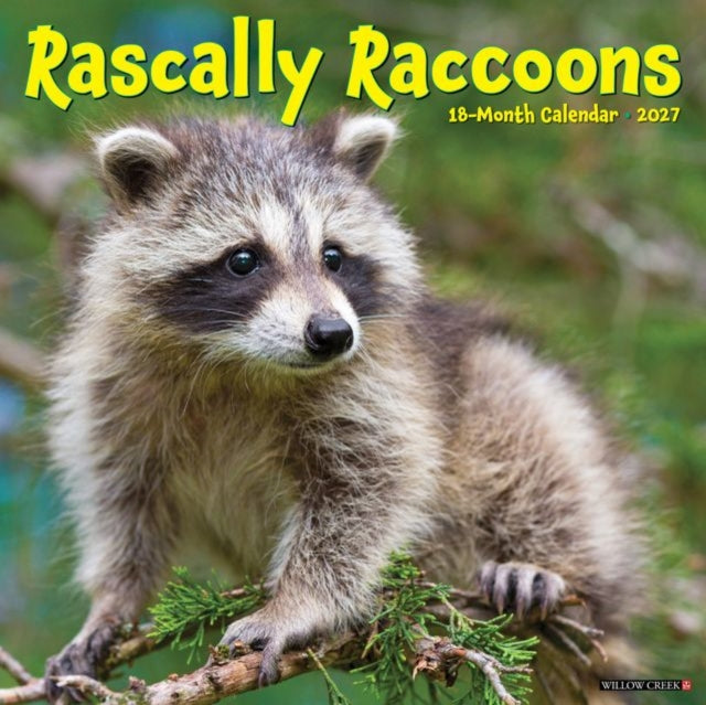 Rascally Raccoons 2027 Wall cover