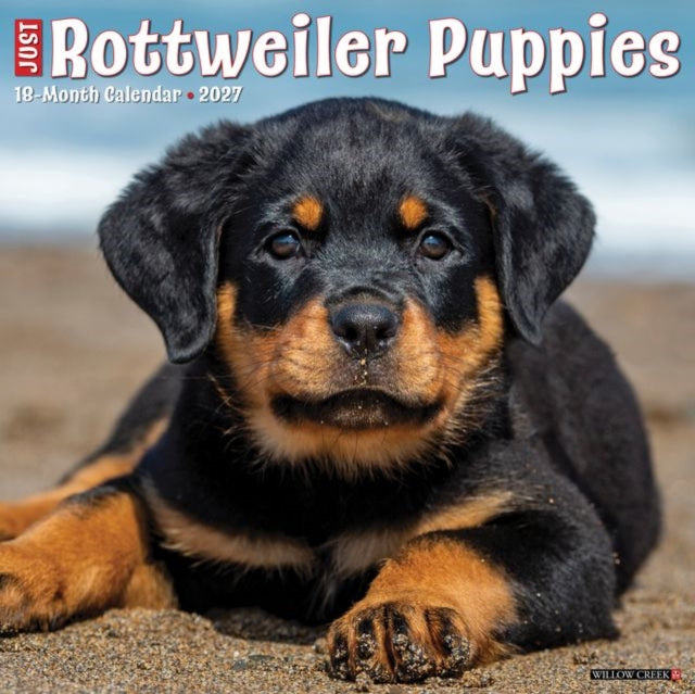 Rottweiler Puppies 2027 Wall cover