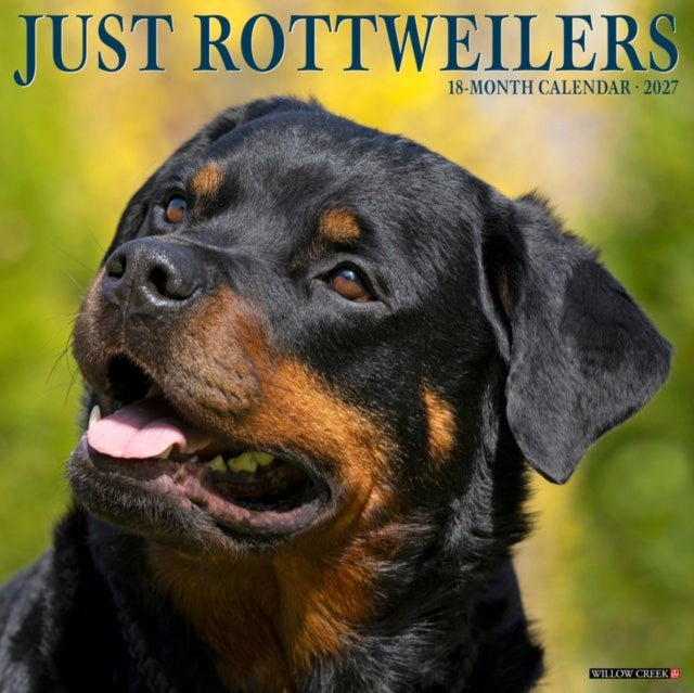Rottweilers 2027 Wall cover