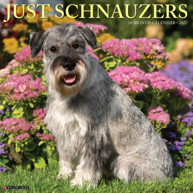 Schnauzers 2027 Wall cover