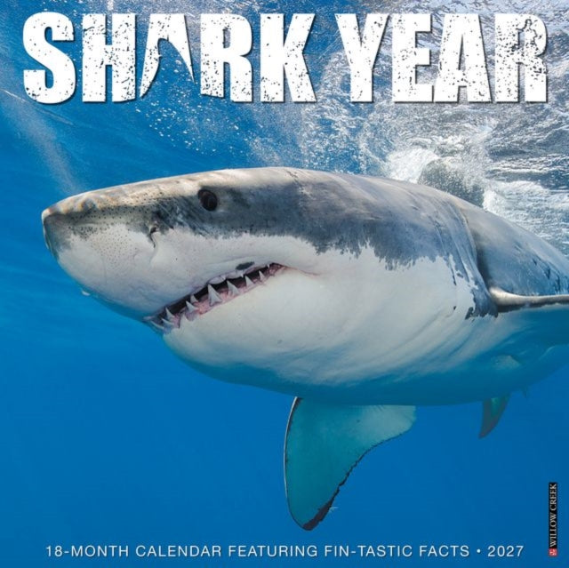 Shark Year 2027 Wall cover
