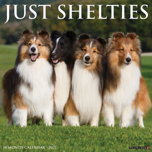 Shelties 2027 Wall cover