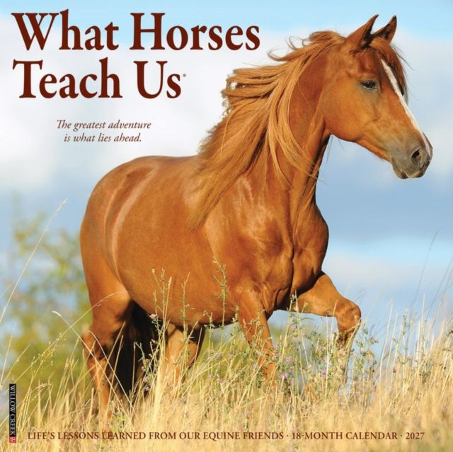 What Horses Teach Us 2027 Wall cover