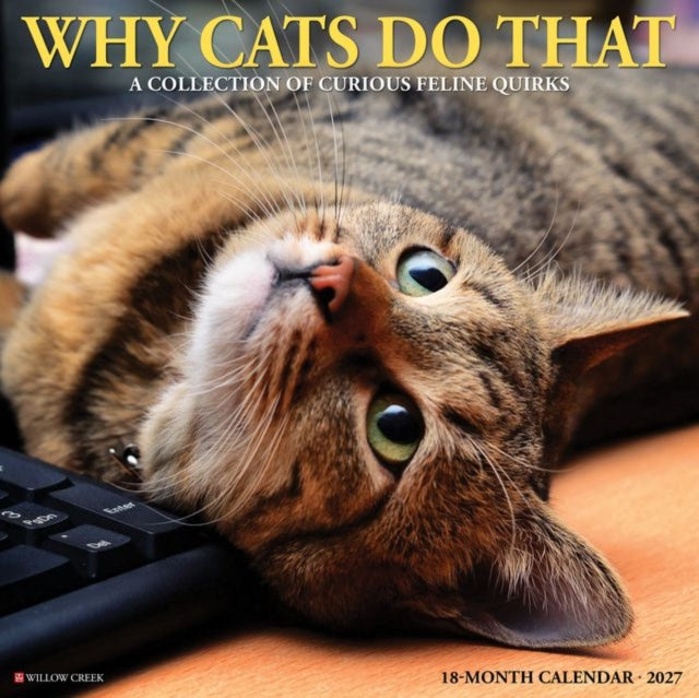 Why Cats Do That 2027 Wall cover