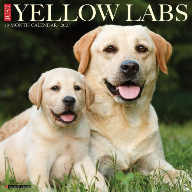 Yellow Labs 2027 Wall cover