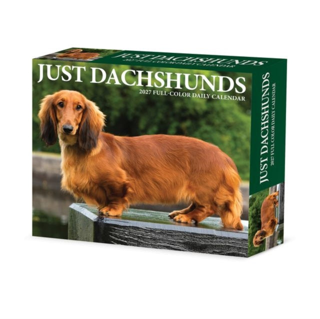 Dachshunds 2027 Box cover