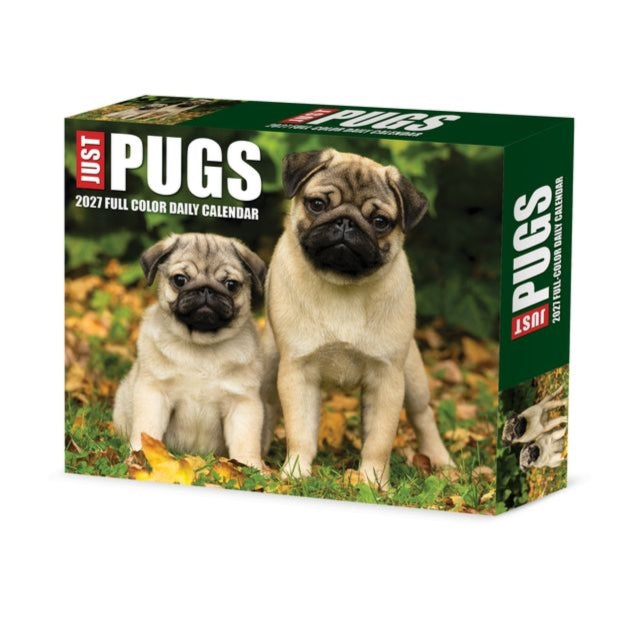 Pugs 2027 Box cover