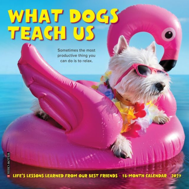What Dogs Teach Us 2027 Mini cover