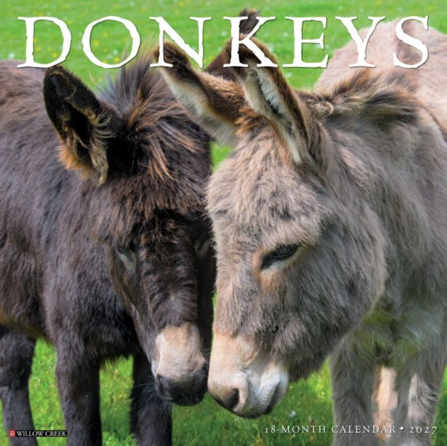 Donkeys 2027 Wall cover