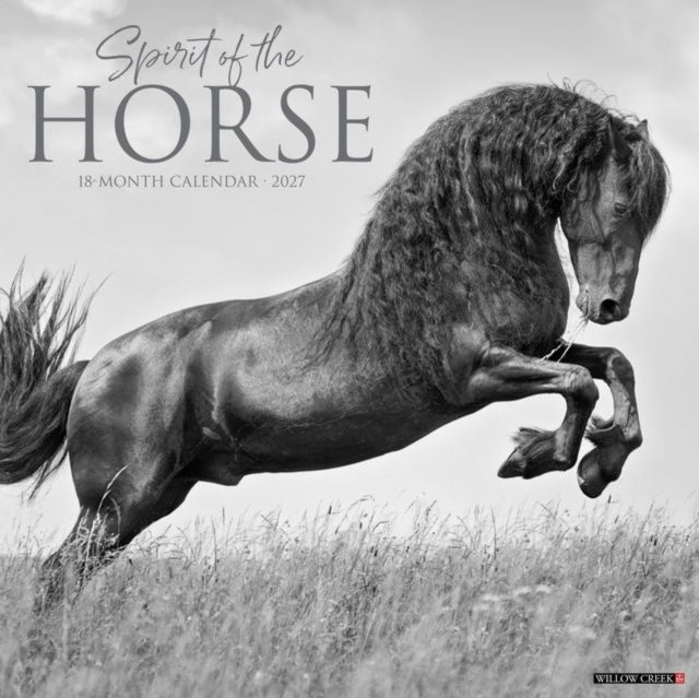 Spirit of the Horse 2027 Wall cover