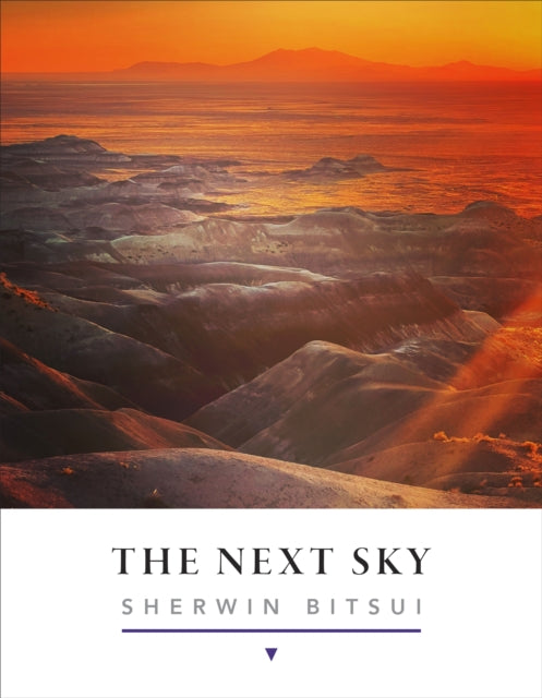 The Next Sky cover