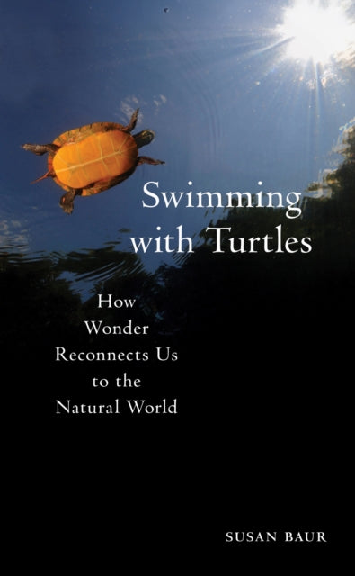 Swimming with Turtles cover
